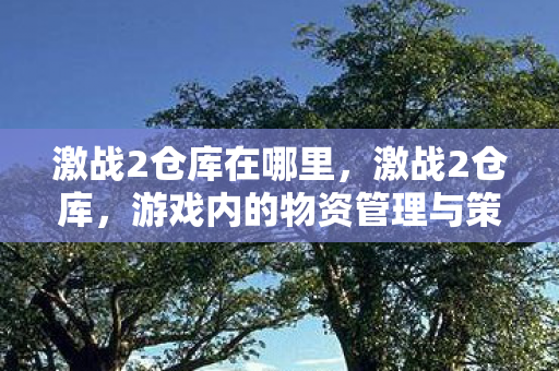 激战2仓库在哪里,激战2仓库,游戏内的物资管理与策略深度解析 激战2仓库在哪里,激战2仓库,游戏内的物资管理与策略深度解析