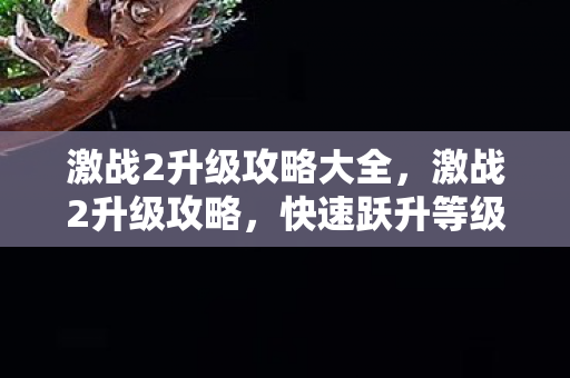 激战2升级攻略大全，激战2升级攻略，快速跃升等级巅峰