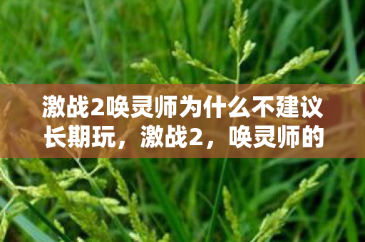 激战2唤灵师为什么不建议长期玩，激战2，唤灵师的崛起与挑战