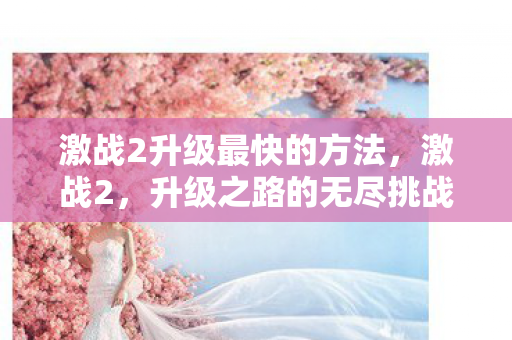 激战2升级最快的方法，激战2，升级之路的无尽挑战与荣耀