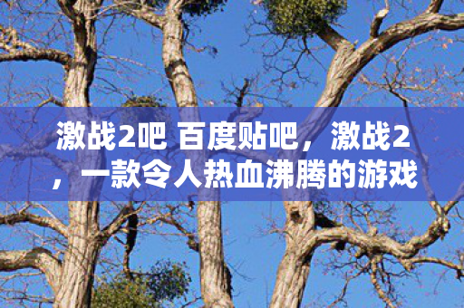 激战2吧 百度贴吧，激战2，一款令人热血沸腾的游戏