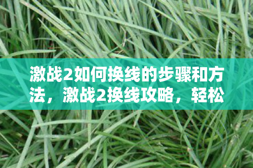 激战2如何换线的步骤和方法，激战2换线攻略，轻松掌握游戏线路切换技巧