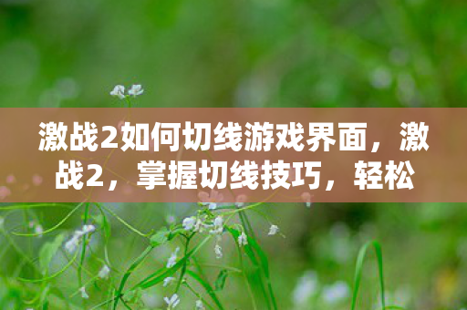 激战2如何切线游戏界面，激战2，掌握切线技巧，轻松玩转游戏