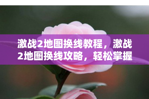 激战2地图换线教程，激战2地图换线攻略，轻松掌握换线技巧，助你畅游游戏世界