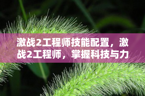 激战2工程师技能配置，激战2工程师，掌握科技与力量的完美结合