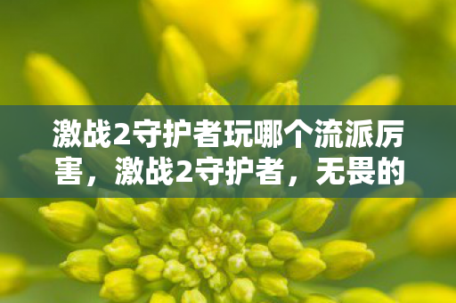 激战2守护者玩哪个流派厉害，激战2守护者，无畏的守护者，引领战斗潮流的先锋