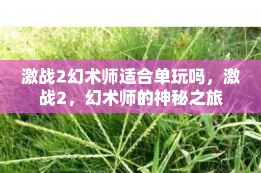 激战2幻术师适合单玩吗，激战2，幻术师的神秘之旅