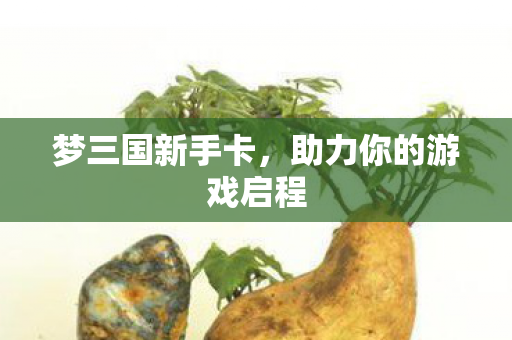 梦三国新手卡，助力你的游戏启程