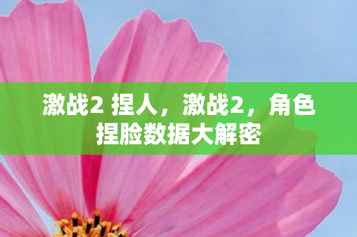 激战2 捏人，激战2，角色捏脸数据大解密