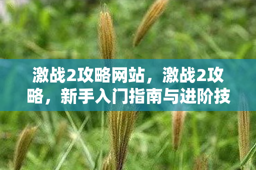 激战2攻略网站,激战2攻略,新手入门指南与进阶技巧 激战2攻略网站,激战2攻略,新手入门指南与进阶技巧
