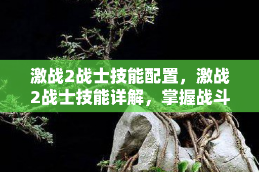 激战2战士技能配置,激战2战士技能详解,掌握战斗核心,成为无敌战士 激战2战士技能配置,激战2战士技能详解,掌握战斗核心,成为无敌战士
