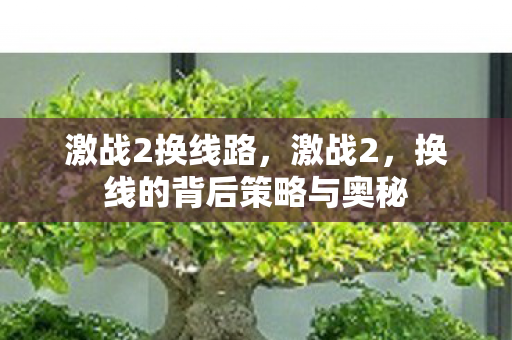 激战2换线路,激战2,换线的背后策略与奥秘 激战2换线路,激战2,换线的背后策略与奥秘