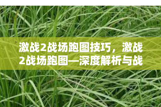 激战2战场跑图技巧，激战2战场跑图—深度解析与战术探讨