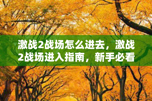 激战2战场怎么进去，激战2战场进入指南，新手必看的攻略
