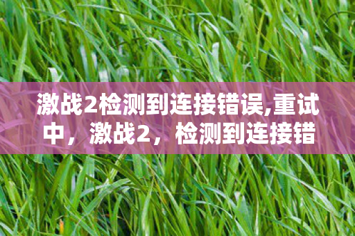 激战2检测到连接错误,重试中，激战2，检测到连接错误，如何应对？