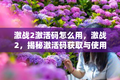 激战2激活码怎么用，激战2，揭秘激活码获取与使用全攻略
