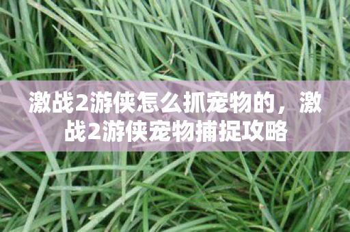 激战2游侠怎么抓宠物的，激战2游侠宠物捕捉攻略