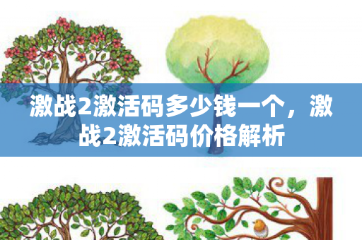 激战2激活码多少钱一个，激战2激活码价格解析