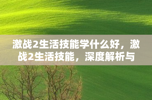 激战2生活技能学什么好，激战2生活技能，深度解析与实战指南