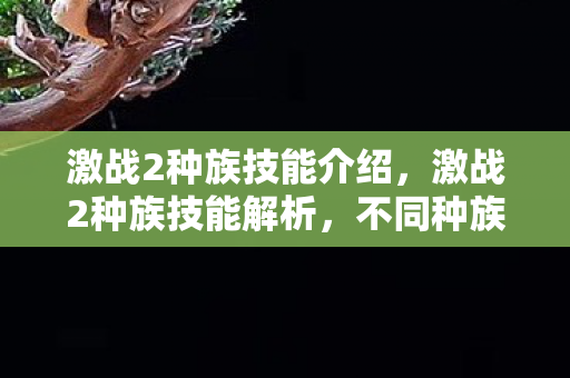 激战2种族技能介绍，激战2种族技能解析，不同种族不同技能，各具特色