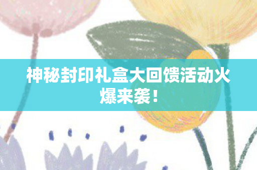 神秘封印礼盒大回馈活动火爆来袭！