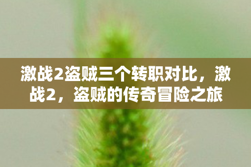 激战2盗贼三个转职对比，激战2，盗贼的传奇冒险之旅