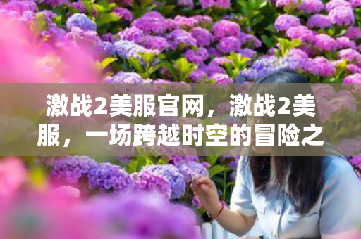 激战2美服官网，激战2美服，一场跨越时空的冒险之旅