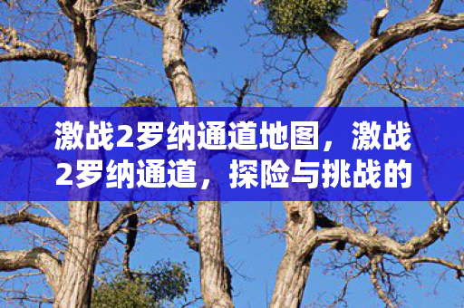 激战2罗纳通道地图，激战2罗纳通道，探险与挑战的交汇点