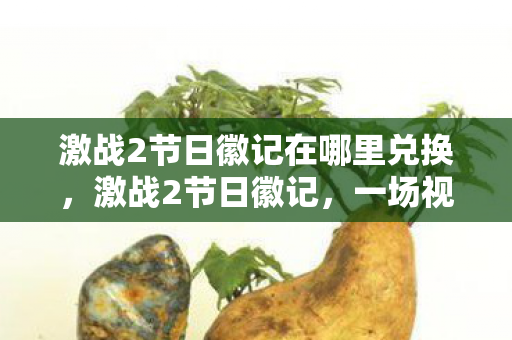 激战2节日徽记在哪里兑换，激战2节日徽记，一场视觉盛宴与游戏狂欢的交融