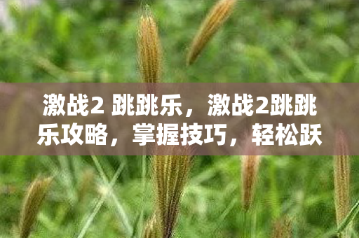 激战2 跳跳乐，激战2跳跳乐攻略，掌握技巧，轻松跃居巅峰