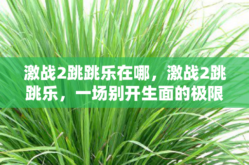 激战2跳跳乐在哪，激战2跳跳乐，一场别开生面的极限挑战