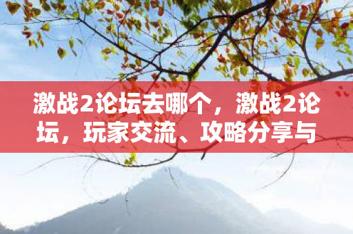 激战2论坛去哪个，激战2论坛，玩家交流、攻略分享与游戏内外的精彩互动