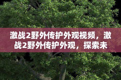 激战2野外传护外观视频，激战2野外传护外观，探索未知的视觉盛宴