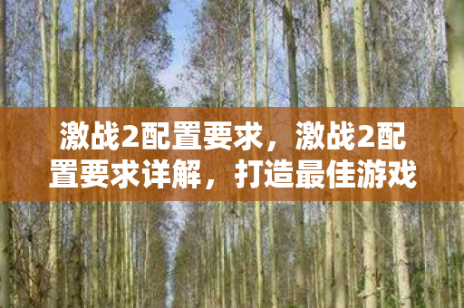 激战2配置要求，激战2配置要求详解，打造最佳游戏体验