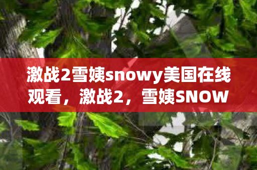 激战2雪姨snowy美国在线观看，激战2，雪姨SNOWY的传奇之旅