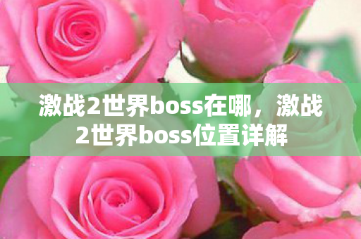 激战2世界boss在哪，激战2世界boss位置详解