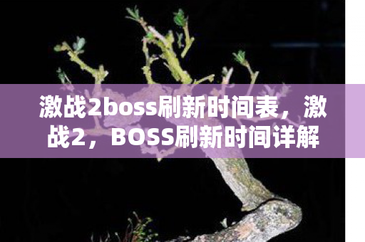 激战2boss刷新时间表，激战2，BOSS刷新时间详解