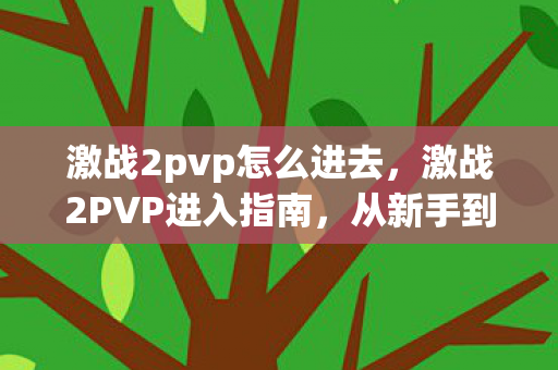 激战2pvp怎么进去，激战2PVP进入指南，从新手到高手的必经之路