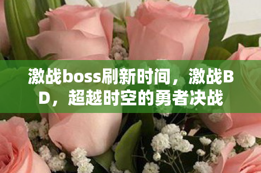 激战boss刷新时间，激战BD，超越时空的勇者决战