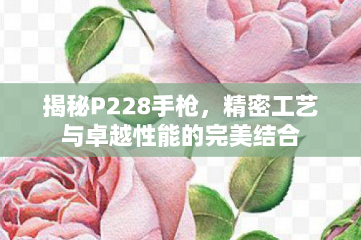 揭秘P228手枪，精密工艺与卓越性能的完美结合