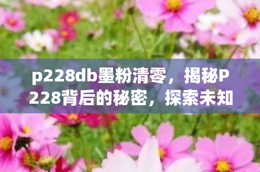 p228db墨粉清零，揭秘P228背后的秘密，探索未知领域的新篇章