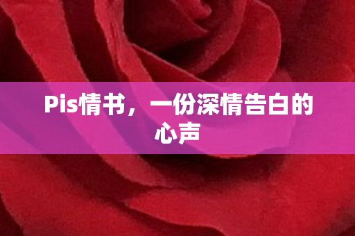 Pis情书,一份深情告白的心声 Pis情书,一份深情告白的心声