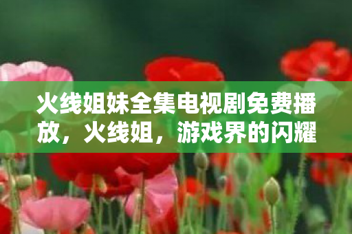 火线姐妹全集电视剧免费播放，火线姐，游戏界的闪耀明星