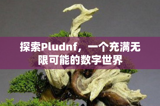 探索Pludnf，一个充满无限可能的数字世界