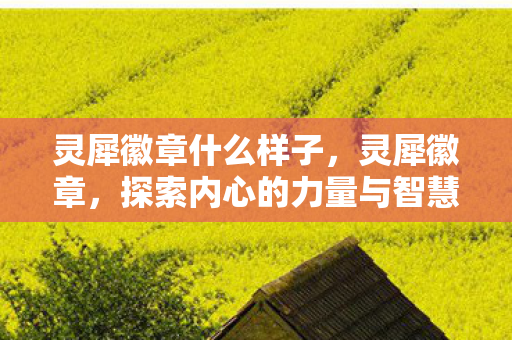 灵犀徽章什么样子，灵犀徽章，探索内心的力量与智慧的象征