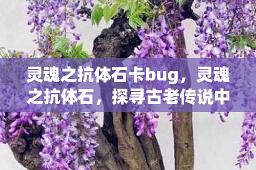 灵魂之抗体石卡bug，灵魂之抗体石，探寻古老传说中的神秘力量