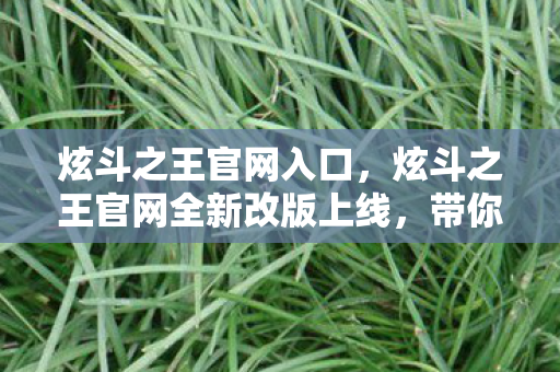 炫斗之王官网入口，炫斗之王官网全新改版上线，带你领略不一样的格斗世界！