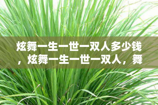 炫舞一生一世一双人多少钱,炫舞一生一世一双人,舞蹈中的浪漫传奇与永恒情感 炫舞一生一世一双人多少钱,炫舞一生一世一双人,舞蹈中的浪漫传奇与永恒情感