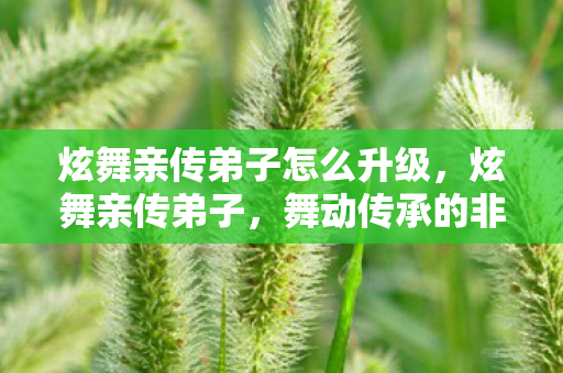 炫舞亲传弟子怎么升级,炫舞亲传弟子,舞动传承的非凡旅程 炫舞亲传弟子怎么升级,炫舞亲传弟子,舞动传承的非凡旅程