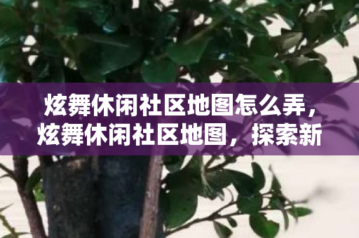炫舞休闲社区地图怎么弄,炫舞休闲社区地图,探索新时代的舞蹈乐园 炫舞休闲社区地图怎么弄,炫舞休闲社区地图,探索新时代的舞蹈乐园